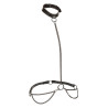 Calexotics - Euphoria Collier Licol Et Laisse Grande Taille